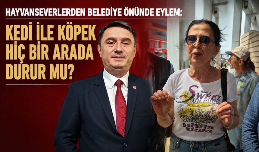Hayvanseverlerden belediye önünde eylem: Kedi ile köpek hiç bir arada durur mu?
