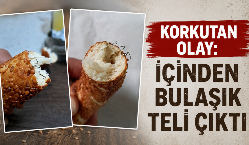 Korkutan olay: İçinden bulaşık teli çıktı