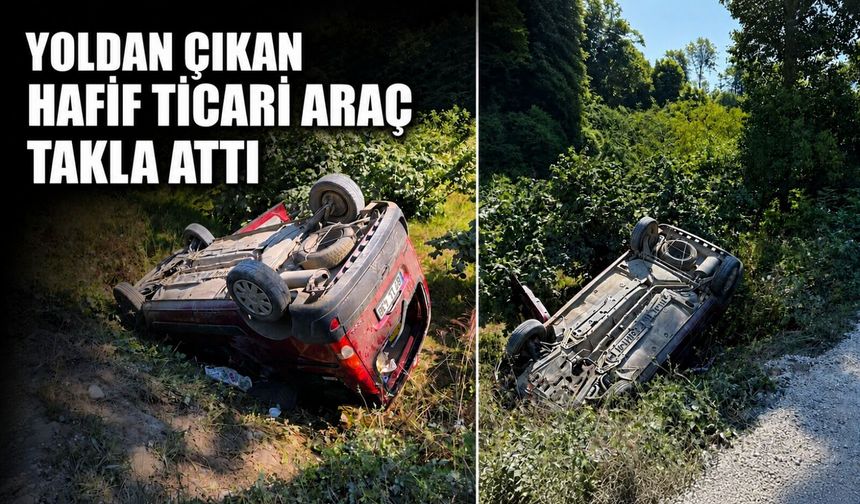 Yoldan çıkan hafif ticari araç takla attı