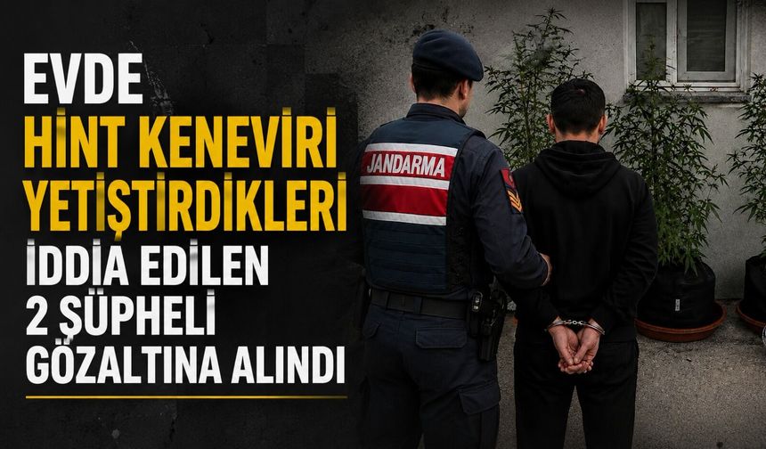 Evde hint keneviri yetiştirdikleri iddia edilen 2 şüpheli gözaltına alındı