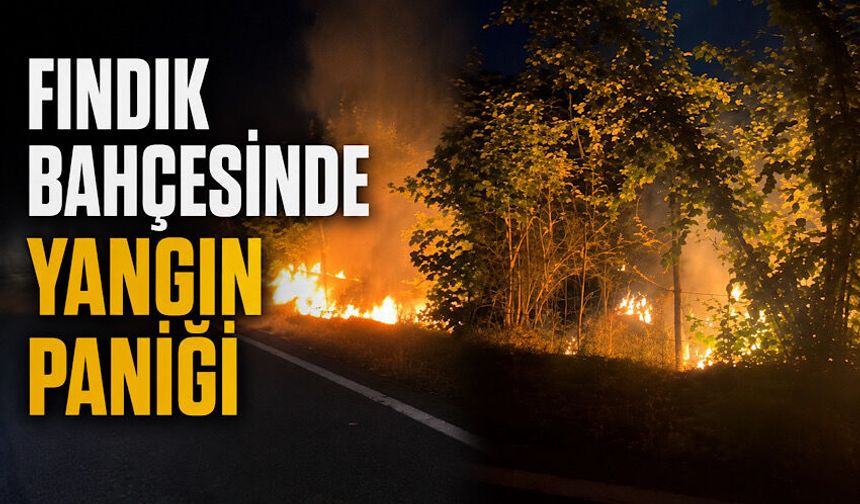 Fındık bahçesinde yangın paniği