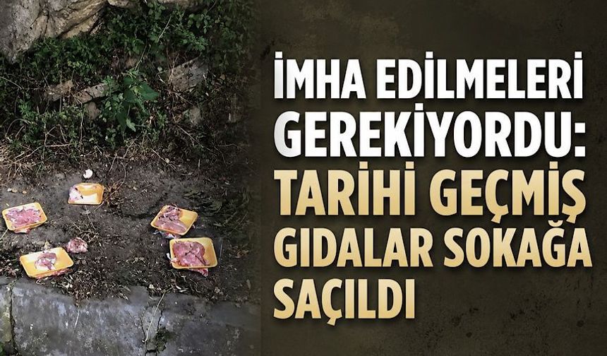 Oysa imha edilmeleri gerekiyordu: Tarihi geçmiş gıdalar sokağa saçıldı