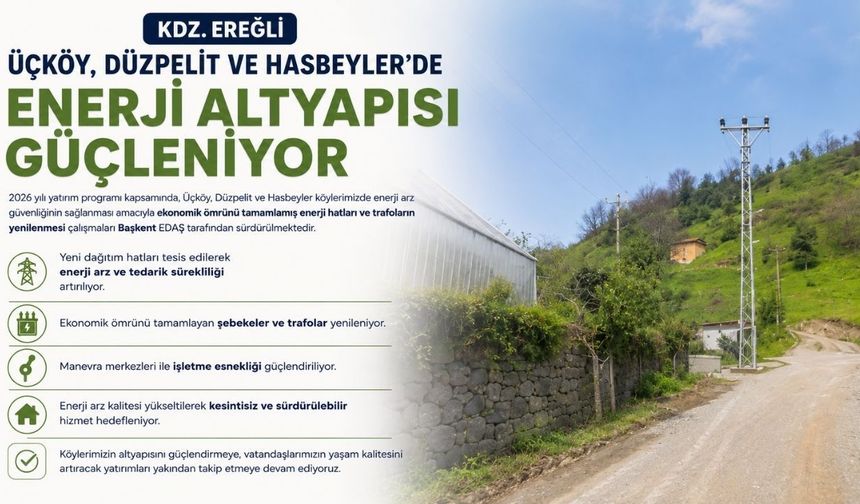 3 köyde enerji seferberliği: Hatlar ve trafolar yenileniyor