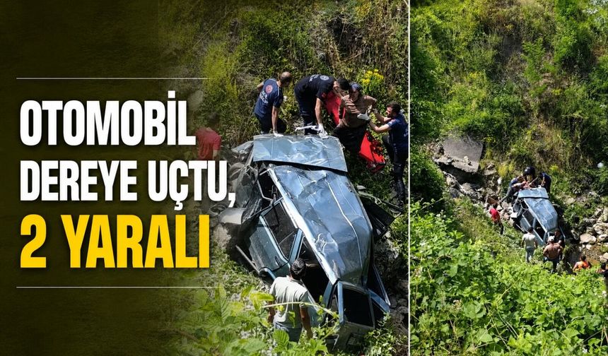 Otomobil dereye uçtu, 2 yaralı