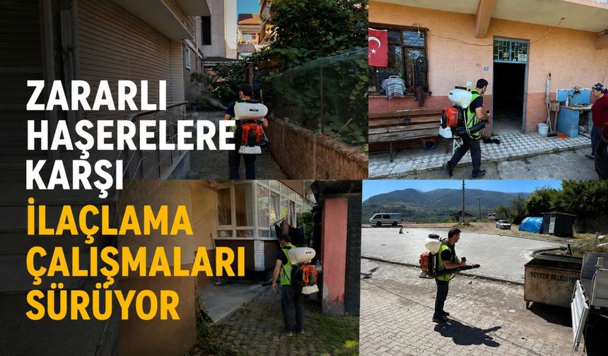 Zararlı haşerelere karşı ilaçlama çalışmaları sürüyor