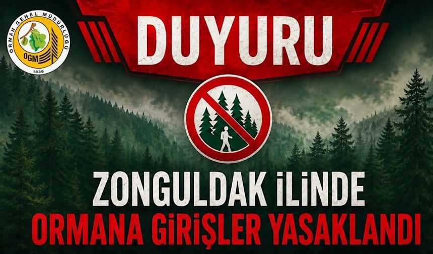 Zonguldak’ta ormanlara girişler yasaklandı