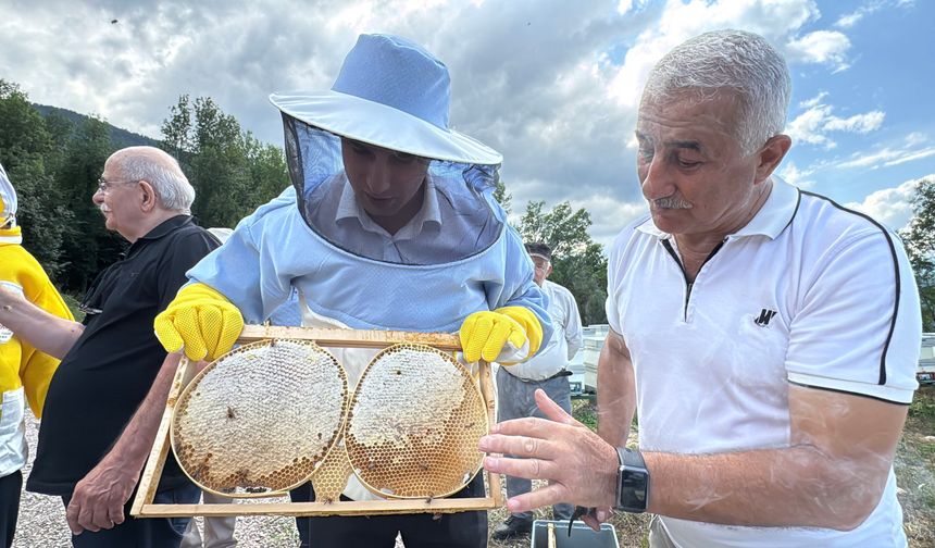 AB tescilli ıhlamur balında hasat başladı