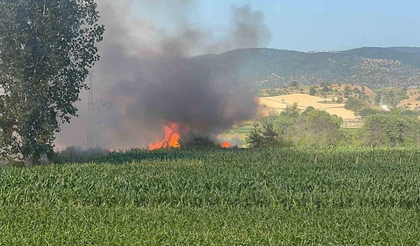 Buğday tarlası alev alev yandı
