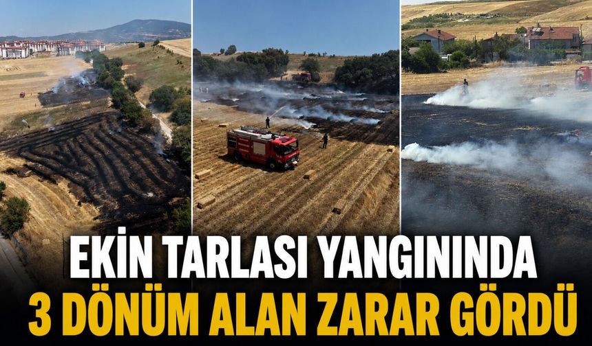 Ekin tarlası yangınında 3 dönüm alan zarar gördü