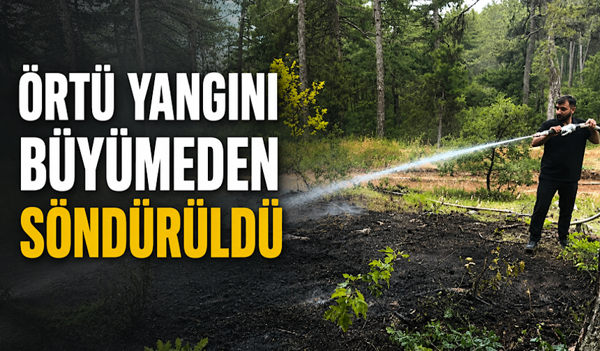 Örtü yangını büyümeden söndürüldü