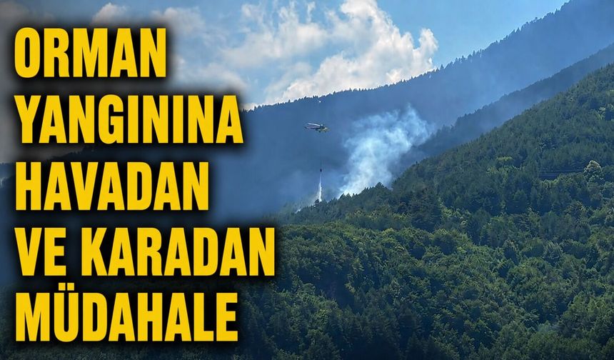 Orman yangınına havadan ve karadan müdahale