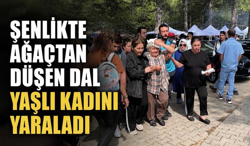 Şenlikte ağaçtan düşen dal yaşlı kadını yaraladı