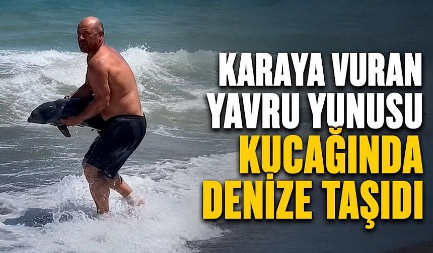 Karaya vuran yavru yunusu kucağında denize taşıdı