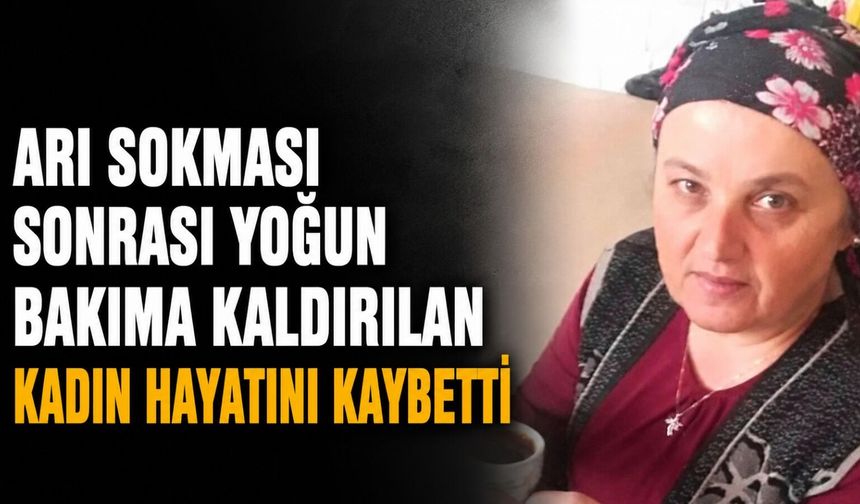 Arı sokması sonrası yoğun bakıma kaldırılan kadın hayatını kaybetti