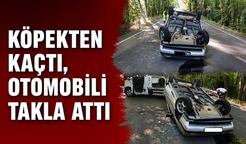 Köpekten kaçtı, otomobili takla attı