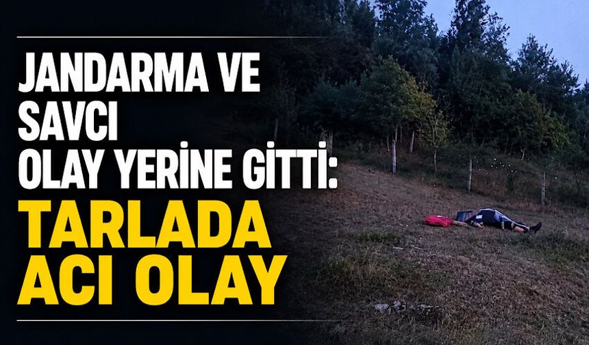 Jandarma ve savcı olay yerine gitti: Tarlada acı olay
