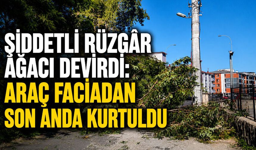 Şiddetli rüzgâr ağacı devirdi: Araç faciadan son anda kurtuldu