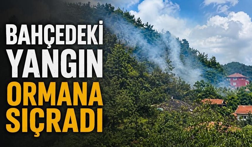 Muslu'da bahçe ateşi ormana sıçradı! Ekipler seferber oldu