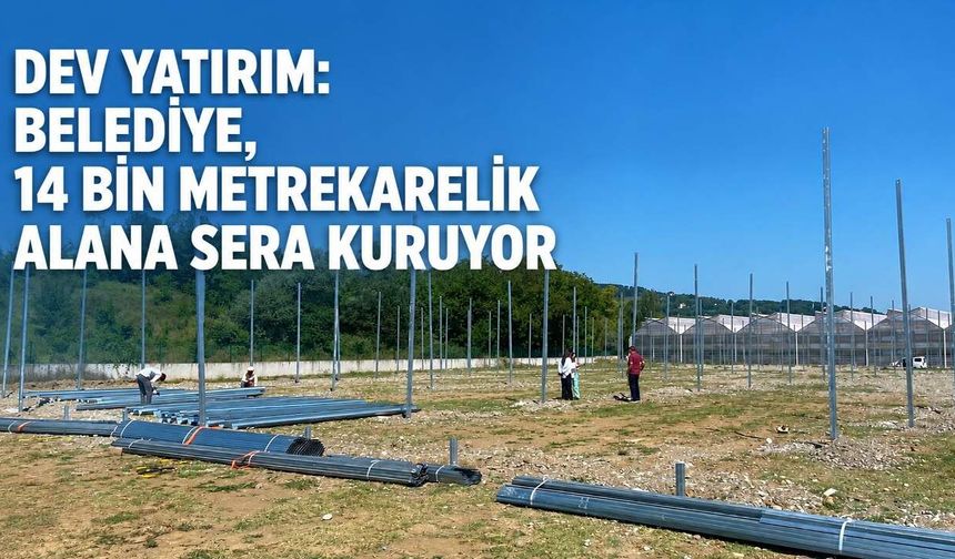 Dev yatırım: Belediye, 14 bin metrekarelik alana sera kuruyor