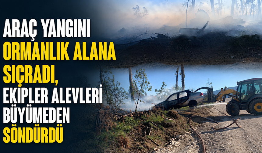 Araç yangını ormanlık alana sıçradı, ekipler alevleri büyümeden söndürdü