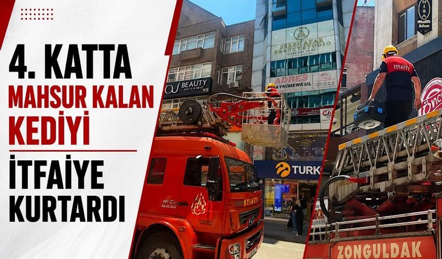 4. katta mahsur kalan kediyi itfaiye kurtardı