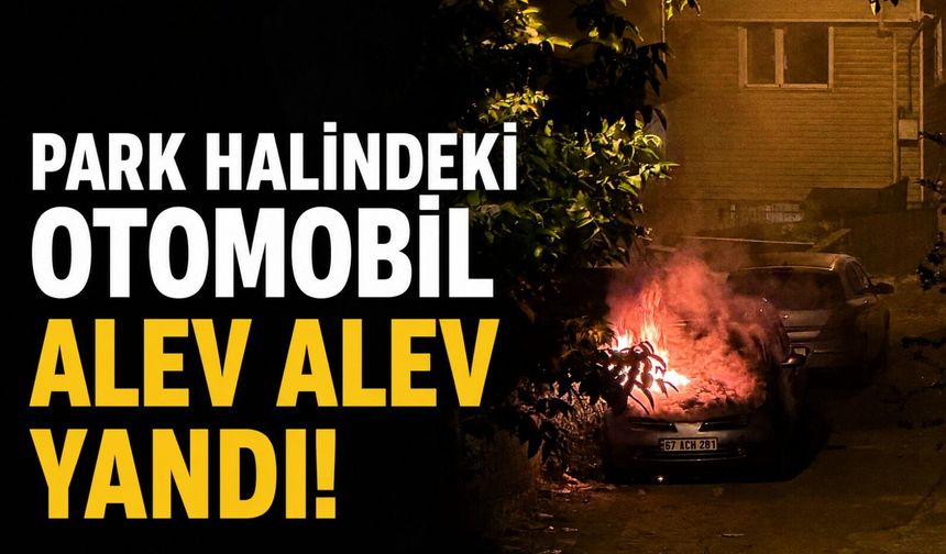 Park halindeki otomobil alev alev yandı!