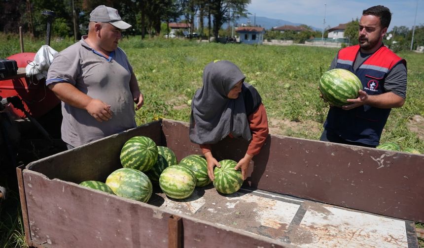 Ata tohumundan üretildi, ihtiyaç sahiplerine ulaştırıldı
