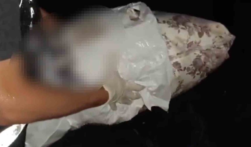 Biri İstanbul'dan uyuşturucu getirirken, diğeri torbacılık yaparken yakalandı