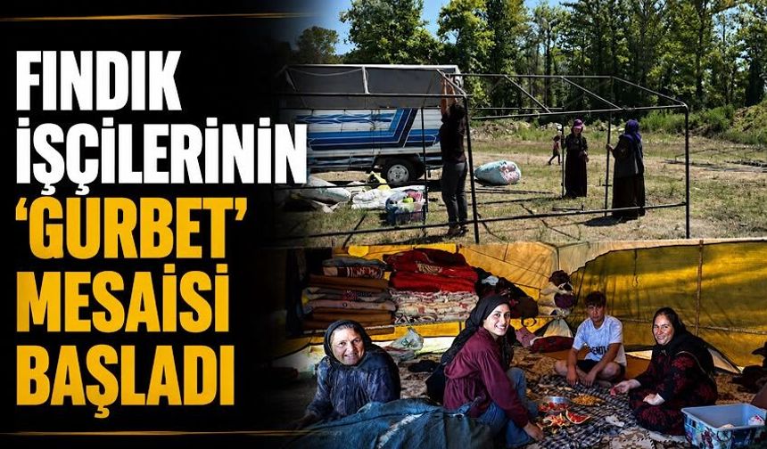 Fındık işçilerinin 'Gurbet' mesaisi başladı