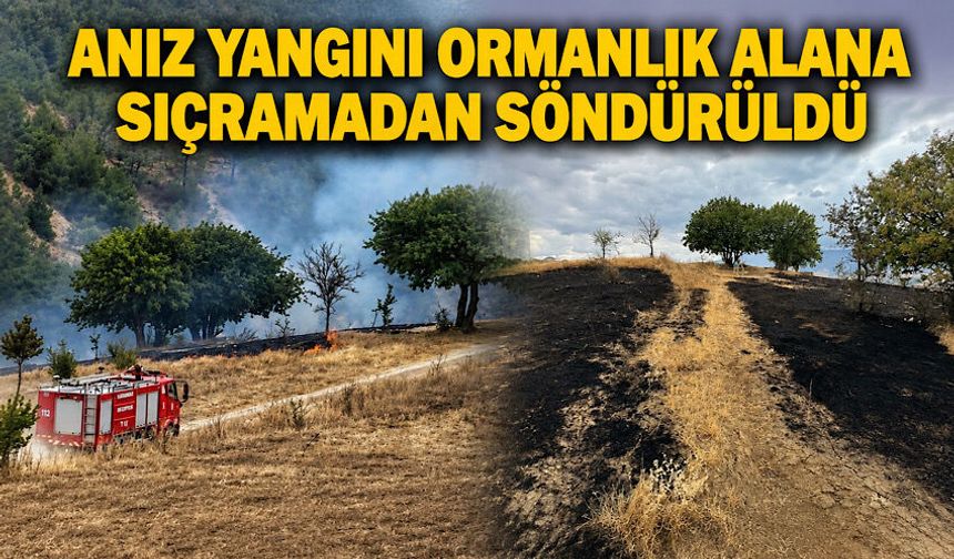 Anız yangını ormanlık alana sıçramadan söndürüldü