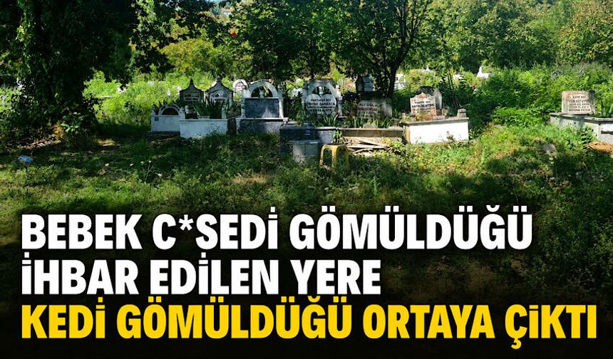 Bebek c*sedi gömüldüğü ihbar edilen yere kedi gömüldüğü ortaya çıktı