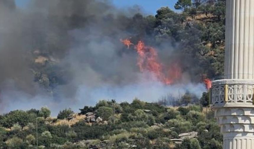 Orman yangını başladı: Bölgeye çok sayıda itfaiye ekip sevk edildi