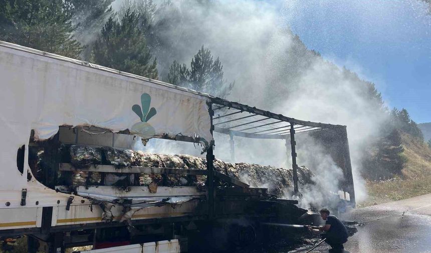 Şeker yüklü tır alev aldı, yangın ormana sıçradı