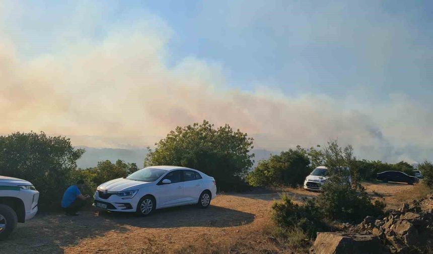 Valilikten orman yangınına ilişkin açıklama