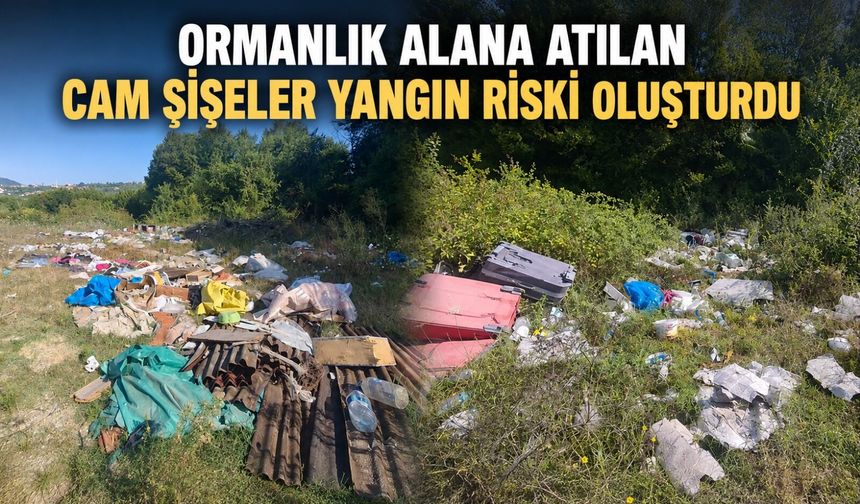 Ormanlık alana atılan cam şişeler yangın riski oluşturdu