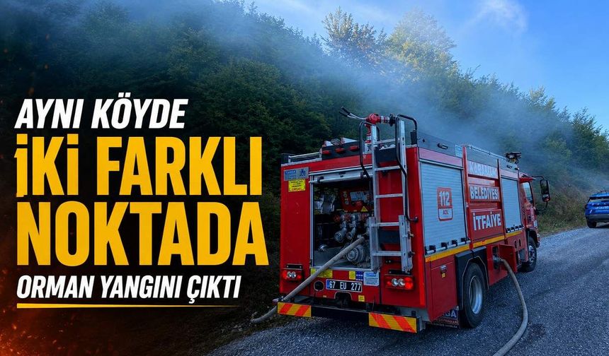 Aynı köyde iki farklı noktada orman yangını çıktı
