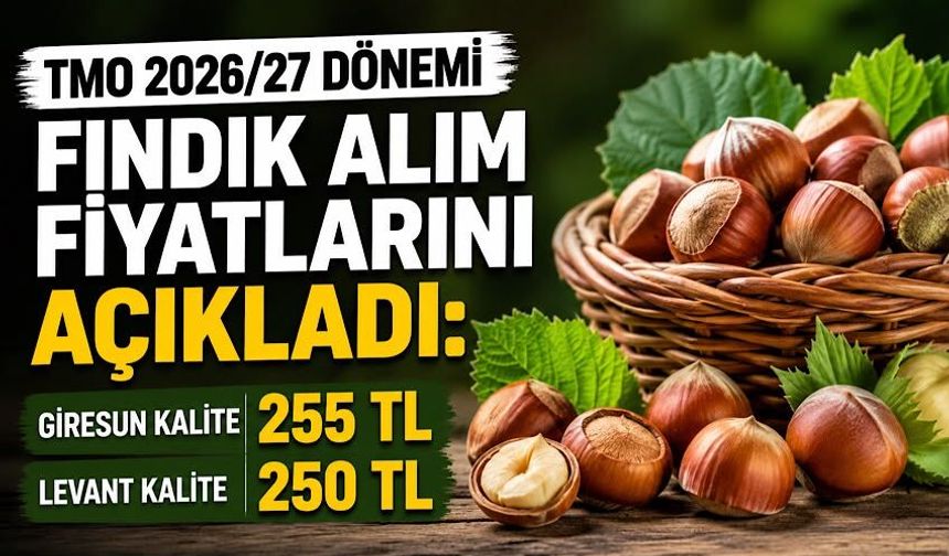 TMO 2026/27 dönemi fındık alım fiyatlarını açıkladı: Giresun kalite 255 TL, Levant 250 TL
