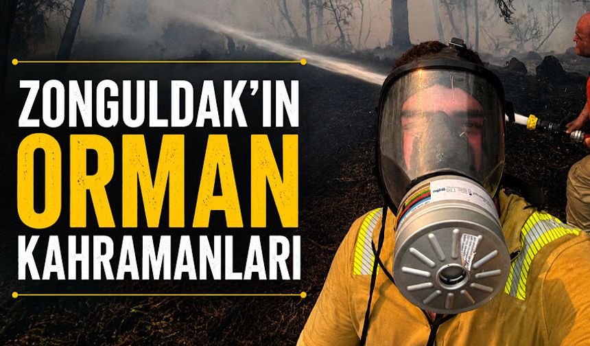 Zonguldak'ın orman kahramanları