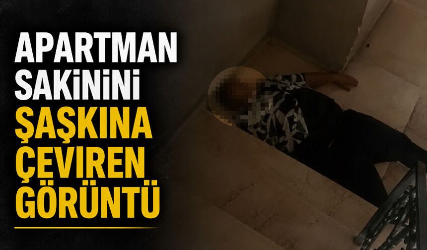 Apartman sakinini şaşkına çeviren görüntü