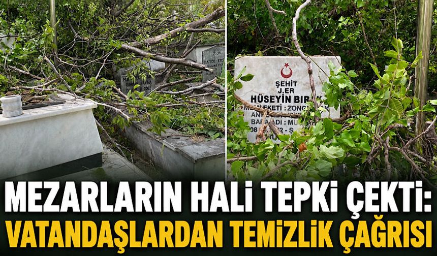 Mezarların hali tepki çekti: Vatandaşlardan temizlik çağrısı