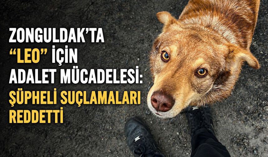 Zonguldak’ta “Leo” için adalet mücadelesi: Şüpheli suçlamaları reddetti