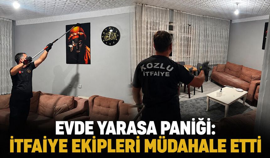 Evde yarasa paniği: İtfaiye ekipleri müdahale etti
