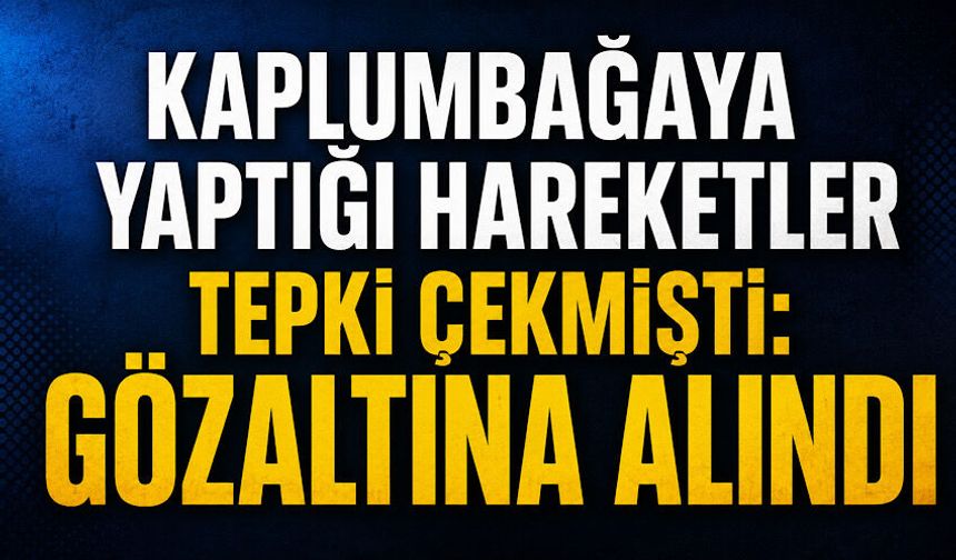 Kaplumbağaya yaptığı hareketler tepki çekmişti: Gözaltına alındı