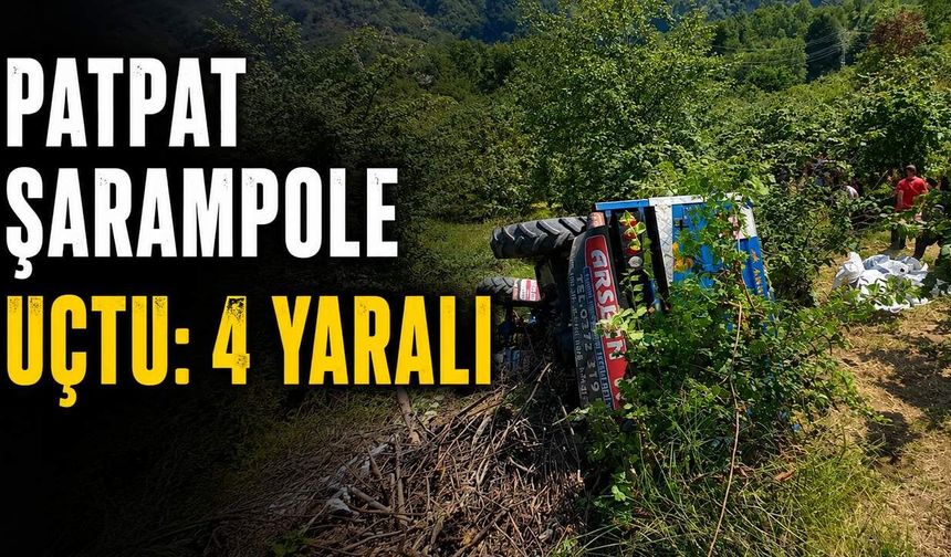 Patpat şarampole uçtu: 4 yaralı