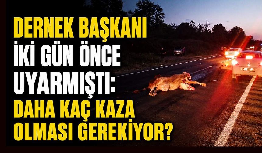 Dernek Başkanı iki gün önce uyarmıştı: Daha kaç kaza olması gerekiyor?