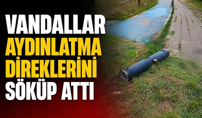 Vandallar aydınlatma direklerini söküp attı
