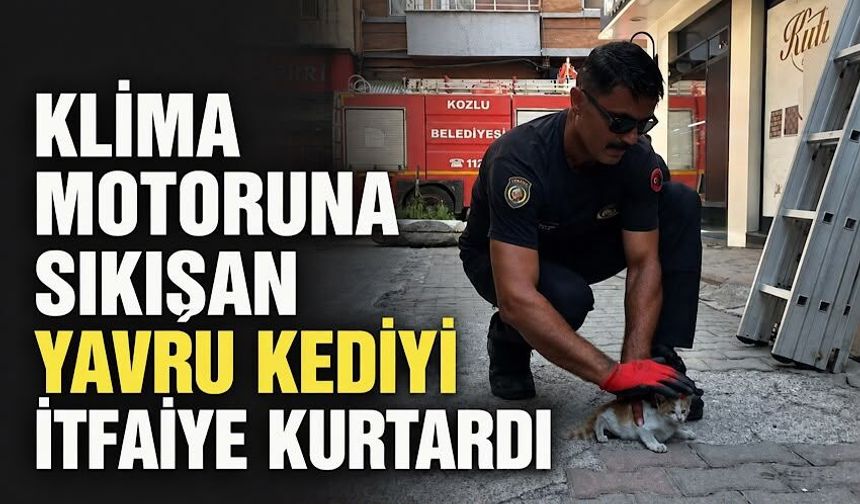 Klima motoruna sıkışan yavru kediyi itfaiye kurtardı