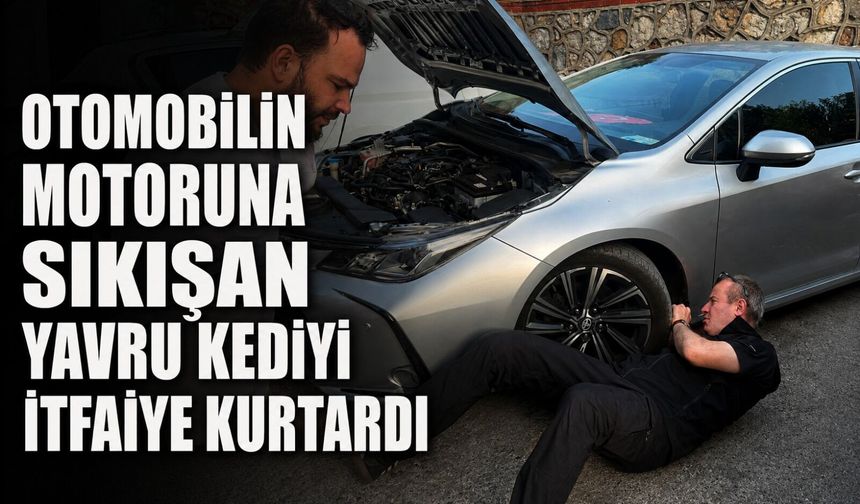 Otomobilin motoruna sıkışan yavru kediyi itfaiye kurtardı
