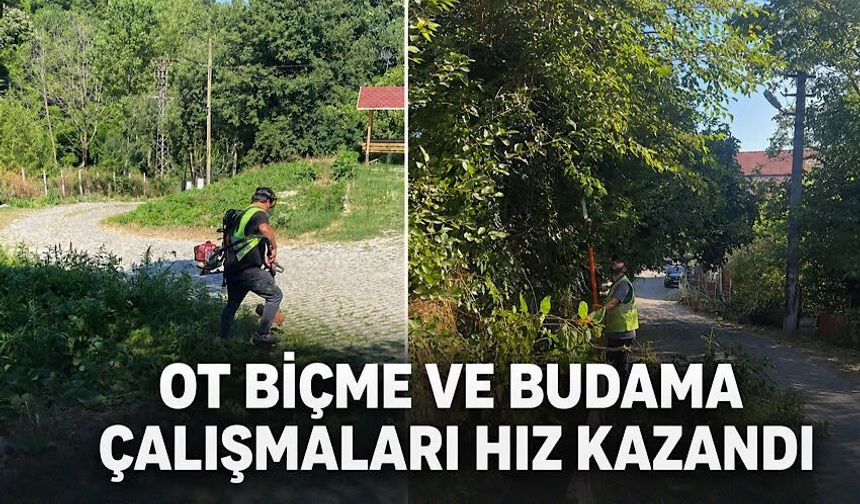 Ot biçme ve budama çalışmaları hız kazandı