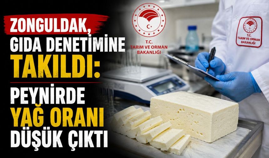 Zonguldak, gıda denetimine takıldı: Peynirde yağ oranı düşük çıktı